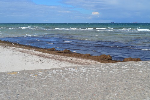 Warnemünde
Beach wrack at Warnem&uuml;nde.
Küste - Strand, Tourismus, Öffentlicher Bereich/Strand, Kollidierende Nutzungen
Andrew Amegbey, EUCC-D